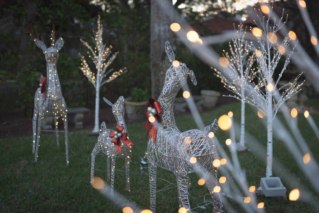 Bayfront Westcott House Bed & Breakfast St. Augustine Exteriér fotografie